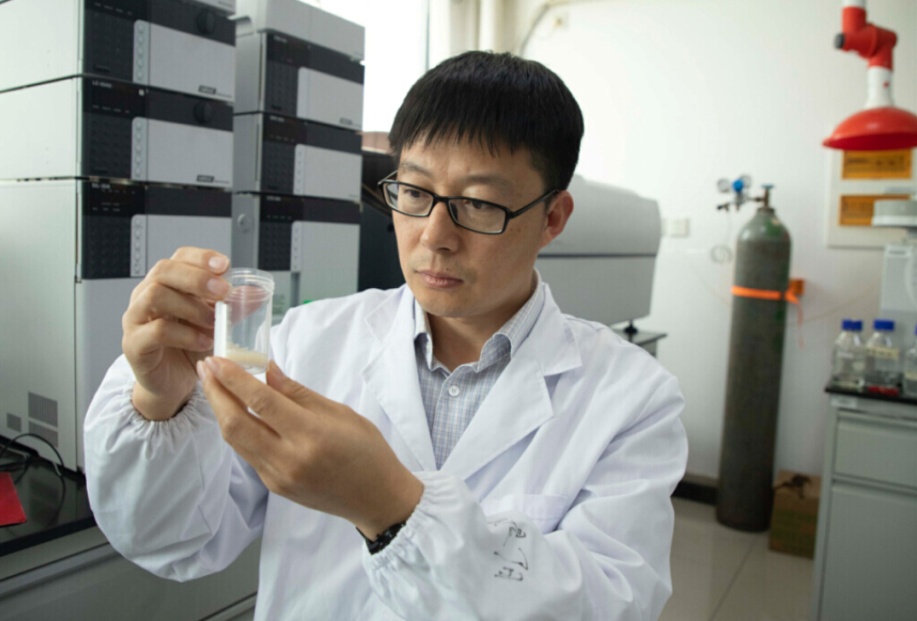 http://biotech.jiangnan.edu.cn/__local/D/48/0C/4A4F5D11116B6579AF66F575266_74F2A288_7540F.jpeg?e=.jpeg