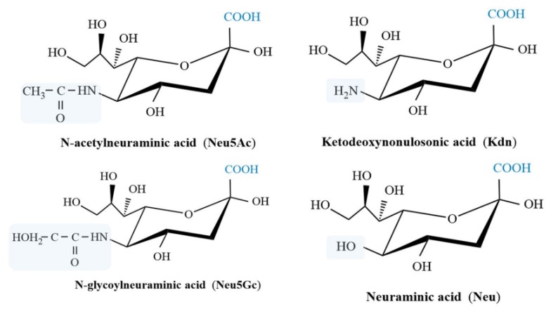 http://biotech.jiangnan.edu.cn/__local/7/20/E1/A49D94893EE3586B523BFCCB55F_3778C8A2_C04F.jpg