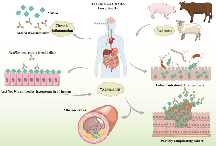 http://biotech.jiangnan.edu.cn/__local/F/F2/62/E294166B0B373A983DD106D303C_5B8E28AB_72CD9.png